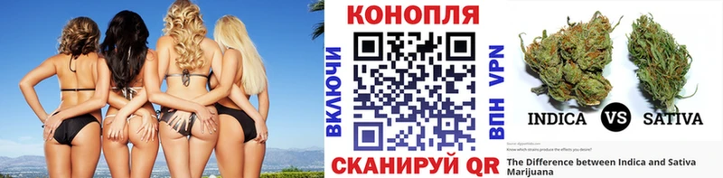 Конопля конопля  Жуковка 